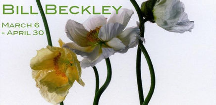 Bill Beckley graphic