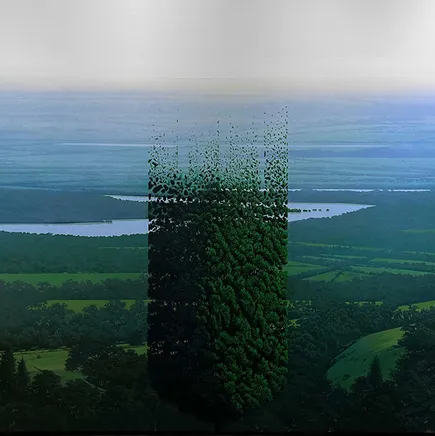 Detail from "The Lost Landscape (Series)" by artist Maikel Martinez