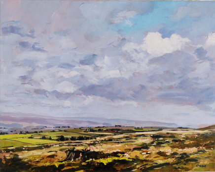 Colin Cook, Looking South from Hadrian's Wall at Housesteads