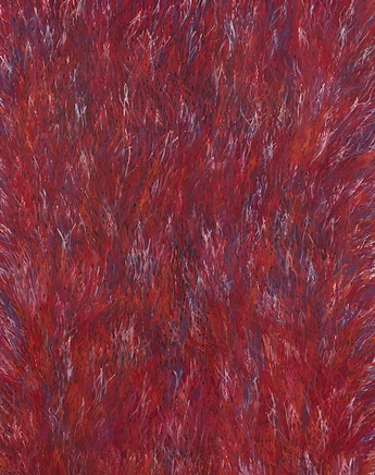 Barbara Weir, Grass Seed Dreaming, 2017