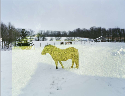 Tierney Gearon, Frame 63, from the Explosure Series, 2008