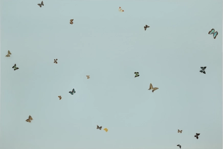 Damien Hirst, TBC, 2002