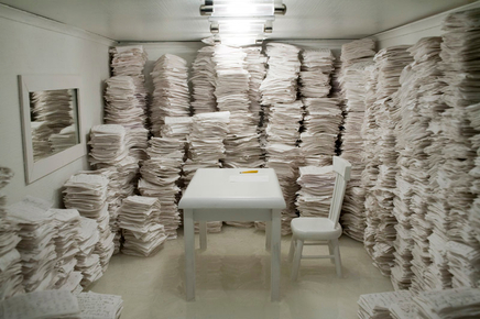 Sarah Anne Johnson, Observation Room, 2009