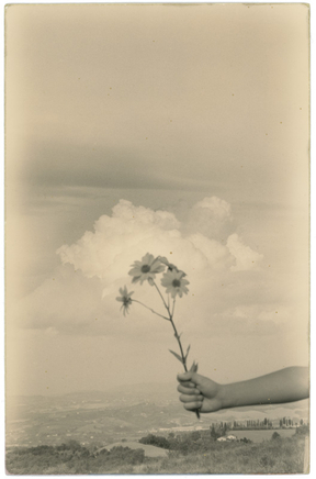 Yamamoto Masao, # 1092, 1987-2018