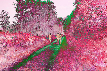 Sarah Anne Johnson, Pink Forest, 2015