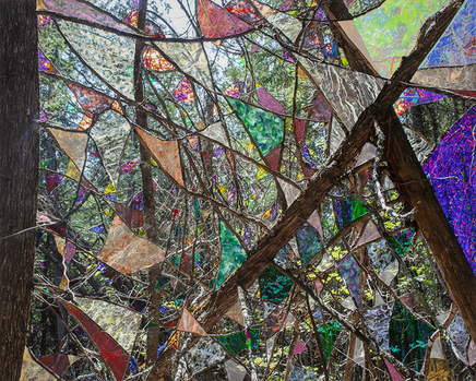 Sarah Anne Johnson, TFGP, 2020