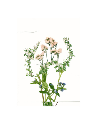 Paul Butler, Untitled (Readymade Bouquet) 11, 2019-2021