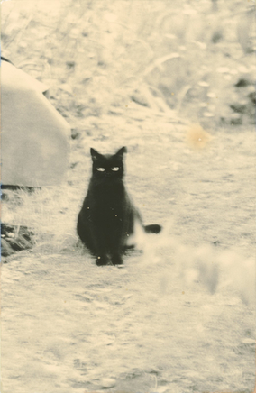 Yamamoto Masao, # 927, 1987-2018