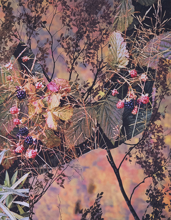 Paul Butler, Semiotics Aside (landscape 041), 2016