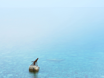 Robert Burley, Submerged hydro pole on the shoreline of the Endikement, Tommy Thompson Park, Toronto, 2019