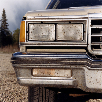 Sarah Anne Johnson, Untitled (car with mosquitoes), 2003
