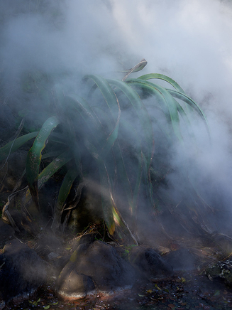 Guillaume Simoneau, Hell, Beppu, Ōita prefecture, Japan, 2016