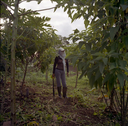 Sarah Anne Johnson, Maria, 2005