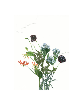 Paul Butler, Untitled (Readymade Bouquet) 05, 2019-2021