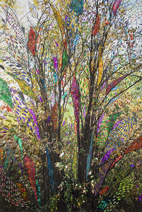 Sarah Anne Johnson, PYTB, 2020