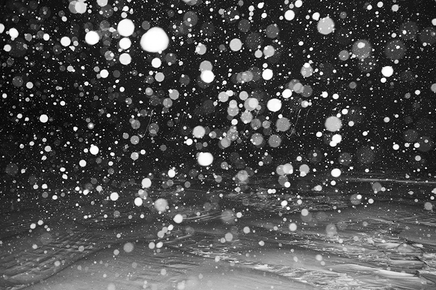 Rita Leistner, The Snow Is Lit Against The Void, Pandemic Year One, 2020-2021