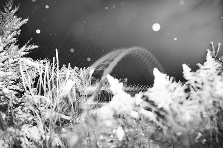 Rita Leistner, Ghost Bridge In First Fall Of Snow, Pandemic Year One, 2020-2021