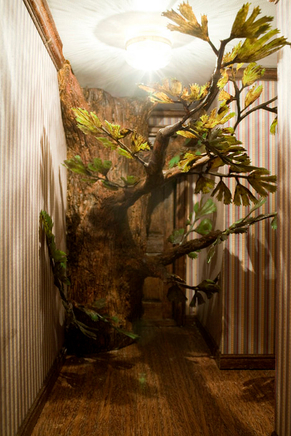 Sarah Anne Johnson, Hallway with Tree, 2009