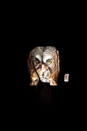 Meryl McMaster, Owl, 2010