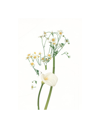 Paul Butler, SBG-PBT-xxxx-CF, 2019-2021