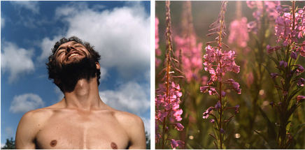 Sarah Anne Johnson, Marlin, 2003