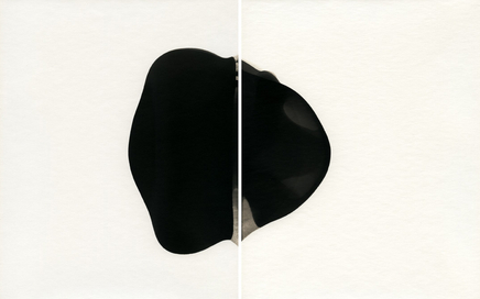 Alison Rossiter, Dassonville Ebony, expired March 1961 (E), processed 2012