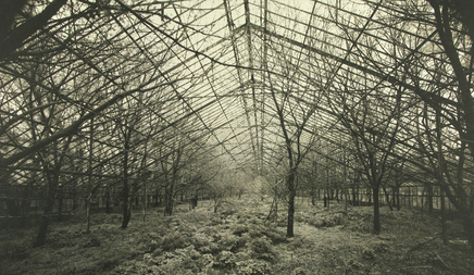 Dick Arentz, Old Wyant Farm I, Tyndall, Ohio, 1986