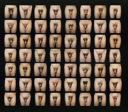 Phil Bergerson, Untitled (Genitalia), Toronto, Ontario, 1986