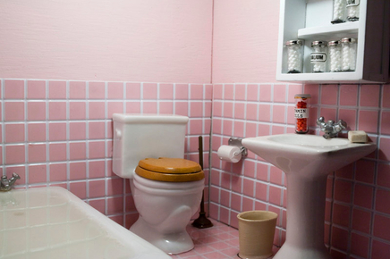 Sarah Anne Johnson, Bathroom, 2009
