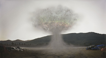 Sarah Anne Johnson, Glitter Dust Bomb, 2015