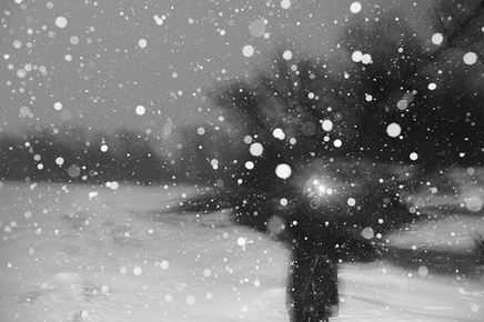 Rita Leistner, She Takes His Picture From The Shore, Pandemic Year One, 2020-2021