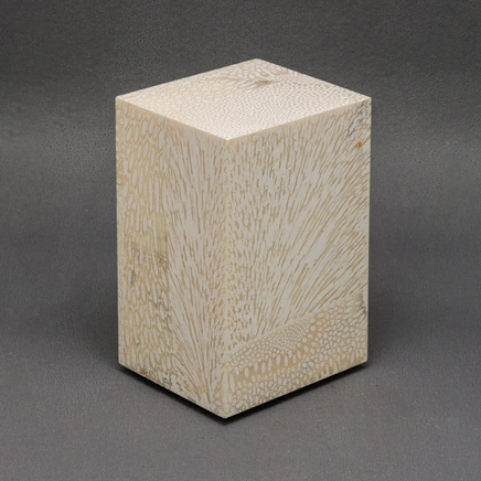 Chauncey Flay, Seawall #46, 2024-25