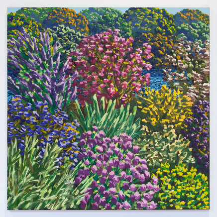 Karl Maughan, Hinau Street, 2024