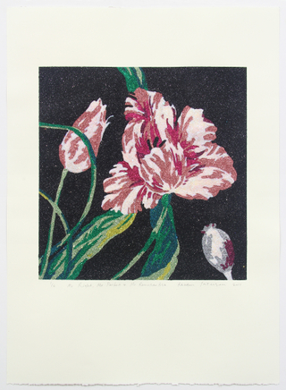 Reuben Paterson, Mr Right, Mr Perfect and Mr Remarkable, 2017