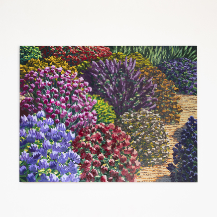 Karl Maughan, Ohapi, 2020