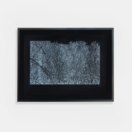 Fiona Van Oyen, Moonlit Scents ... Silence, 2022