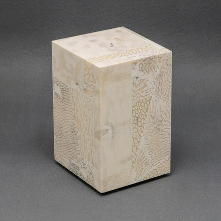 Chauncey Flay, Seawall #81, 2024-25