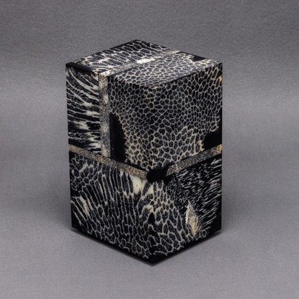 Chauncey Flay, Seawall #65, 2024