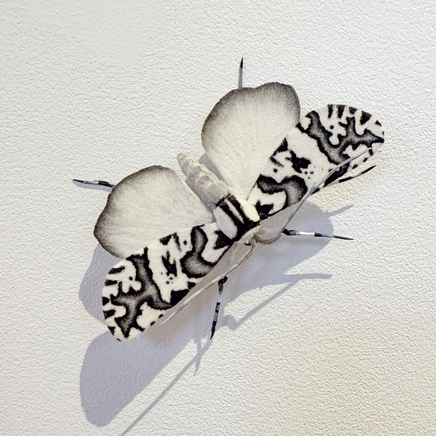 Elizabeth Thomson, Pūrēhua, Koromiko Rd 11, 2022/2023