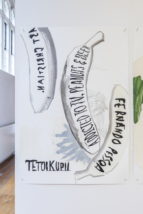 Martin Poppelwell, The Banana/Poet - Te Toikupu Panana, 2016