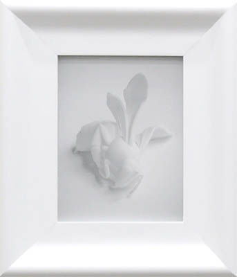 Anne Noble, Eidolon II #6, 2017