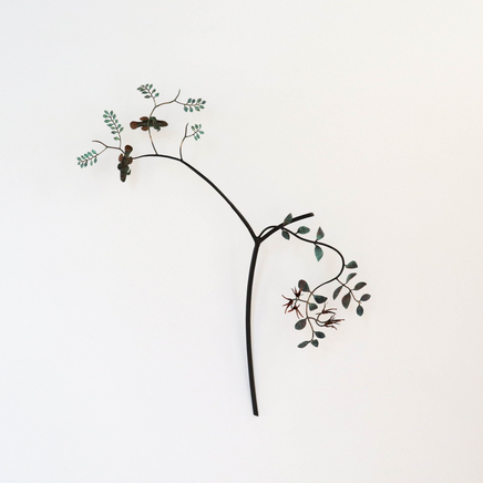 Bing Dawe, Under a red mantle - Mistletoe & Red-finned Bully Ohau, 2022