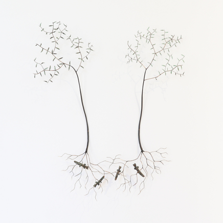 Bing Dawe, In roots small fry gather - Galaxiidae, 2021