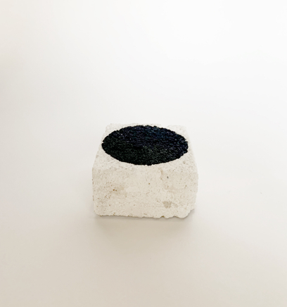 Martin Poppelwell, The Fin - Te Paihau Mako, The End - Te Mutunga, 2016