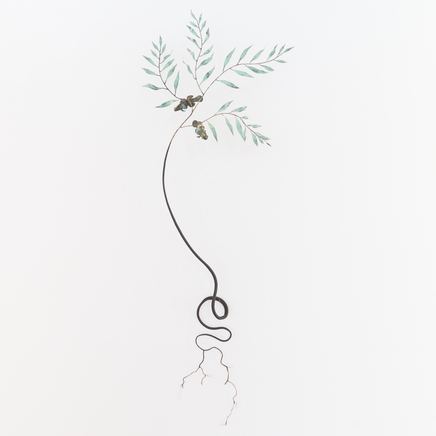 Bing Dawe, From floods and freshes - Wrenched willow with Bullies, 2021