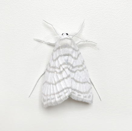 Elizabeth Thomson, Moth #9, 2017