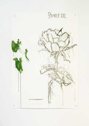 Martin Poppelwell, Rose - Te Rohi, 2016