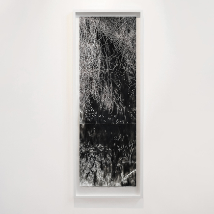 Fiona Van Oyen, Suspirium, 2023