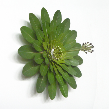 Elizabeth Thomson, Sunday Island, Life and Everything IV, 2012/2015