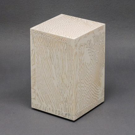 Chauncey Flay, Seawall #56, 2024-25